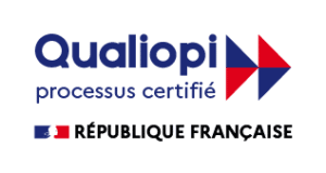 Certification Qualiopi, Centre de formation et de coaching à Lille : Brikx Consulting, Dirigeant Lille, Cadre Lille, Leader, Développement personnel