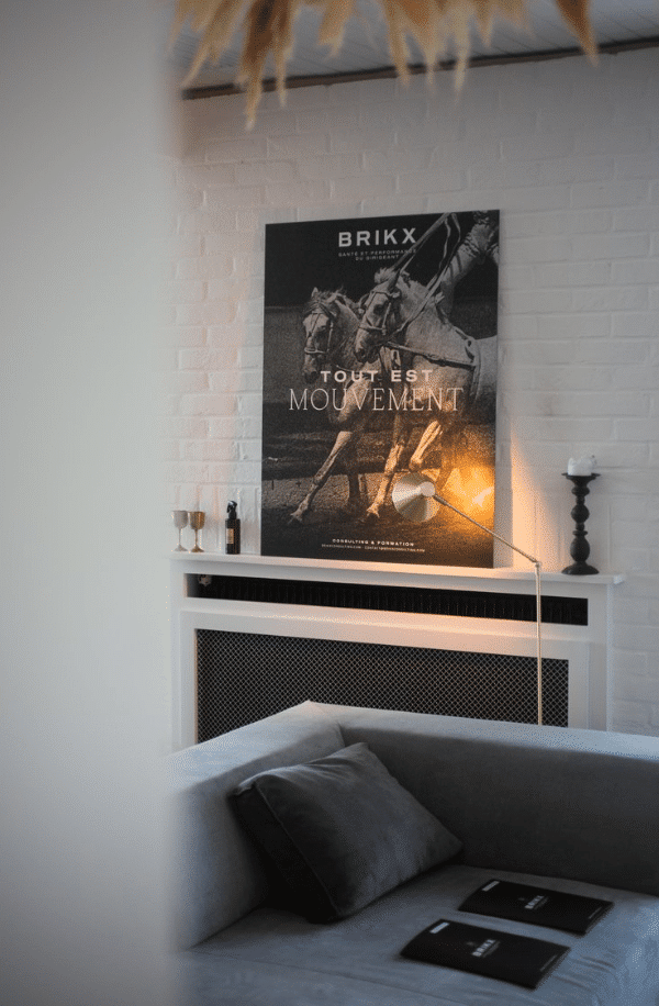 centre de formation performance cadre brikx